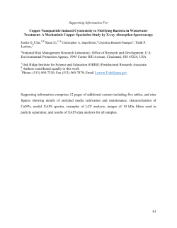 S1 Supporting Information For Copper Nanoparticle Induced