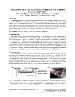 screening chip for autophagy of fibroblast in tumor cell environment