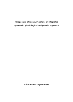 Nitrogen use efficiency in potato - Wageningen UR E