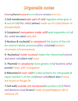 1-Cell membrane/outer part of cell/ regulates what goes