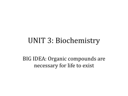 Carbohydrates