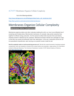 Jobs of the cell membrane - River Dell Regional School District