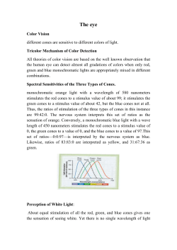 Pupillary light reflex