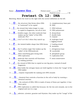 the DNA molecule