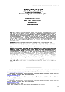 A negative carbon isotope excursion within the