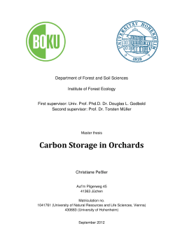 Carbon Storage in Orchards
