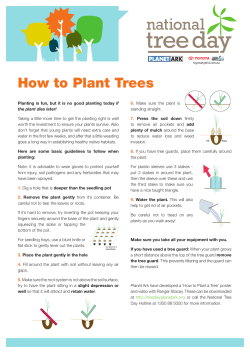 How to Plant Trees - National Tree Day
