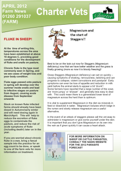 Charter Vets - Charter Veterinary Surgeons