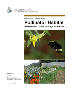 Pollinator Habitat - The Xerces Society