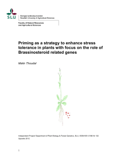 Priming as a strategy to enhance stress tolerance in plants