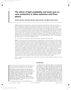 The effect of light availability and basal area on cone production in