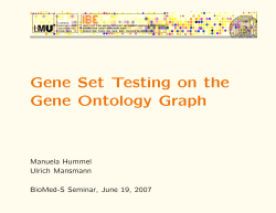 Gene Set Testing on the Gene Ontology Graph