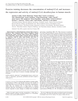 Exercise training decreases the concentration of malonyl