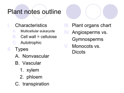 Plant Notes: