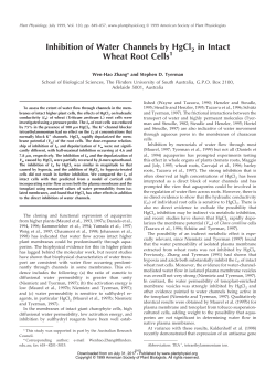 Inhibition of Water Channels by HgCl2 in Intact Wheat Root Cells