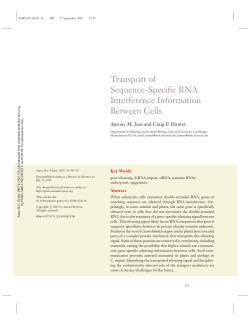 Transport of Sequence-Specific RNA Interference Information