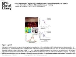 Slide () - Journal of Biomedical Optics