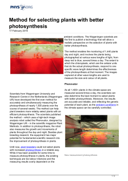 Method for selecting plants with better photosynthesis