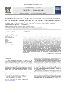 Introduction of cytochrome b mutations in Saccharomyces cerevisiae