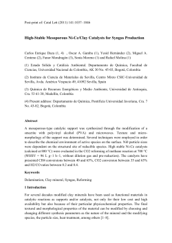 High-Stable Mesoporous Ni-Ce/Clay Catalysts for Syngas
