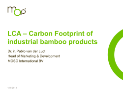 Carbon footprint - World Bamboo Organization