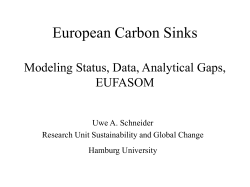 Carbon Sink Assessments in the European Union