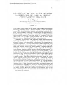 on the use of antibiotics for isolating bacteria-free