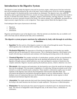 Introduction to the Digestive System