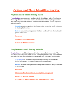 Critter and Plant Identification Key Phytoplankton