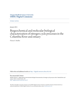 Biogeochemical and molecular biological characterization of