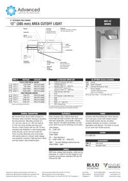 12&rdquo; (305 mm) AREA CUTOFF LIGHT