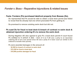 The Scope of Preventive Injunctions &ndash; Possible Options in Marshall