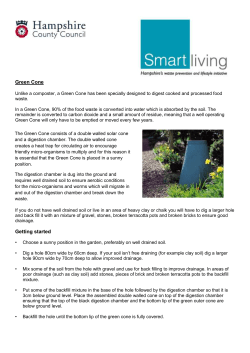 Green Cone factsheet