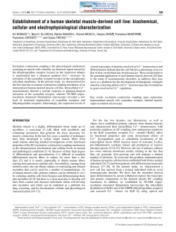 Establishment of a human skeletal muscle