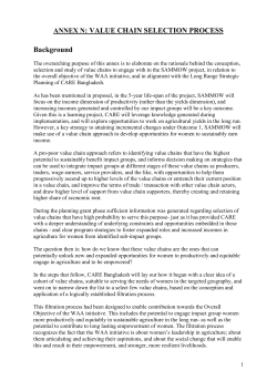 annex n: value chain selection process