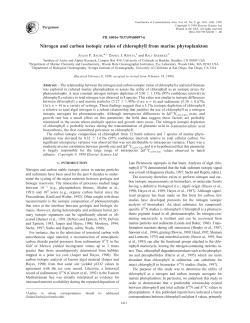 Nitrogen and carbon isotopic ratios of chlorophyll from marine