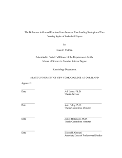 Hans Wulf Jr`s Thesis.