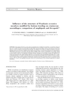 Influence of the structure of Posidonia oceanica