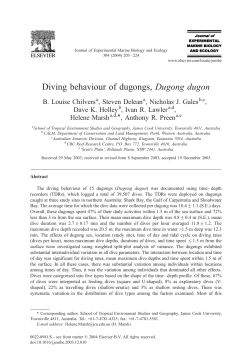 Diving behaviour of dugongs, Dugong dugon (PDF