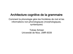 en linguistique connexionnisme vs. modularit&eacute;