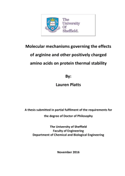 Effects of mixed cosolutes on protein stability