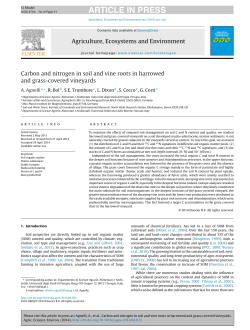 Carbon and nitrogen in soil and vine roots in - univpm