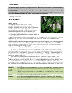 Robinia pseudoacacia - Weed Research and Information Center