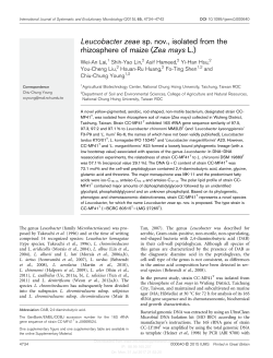 Leucobacter zeae sp. nov., isolated from the rhizosphere of maize