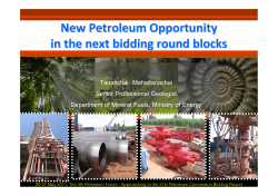New Petroleum Opportunity in the next bidding round blocks