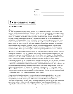 The Microbial World - Minnesota Mississippi Metagenome Project