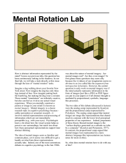 Mental Rotation Lab - computation + cognition lab @ nyu