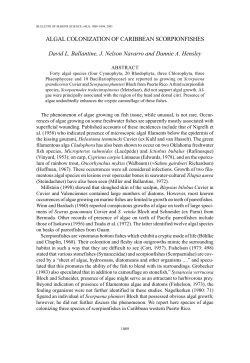Algal colonization of Caribbean scorpionfishes