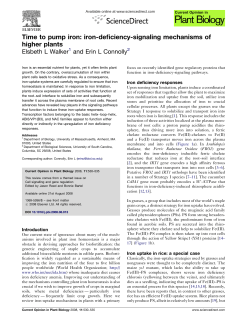 iron-deficiency-signaling mechanisms of higher plants