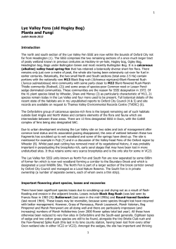 Lye Valley Fens (old Hogley Bog) Plants and